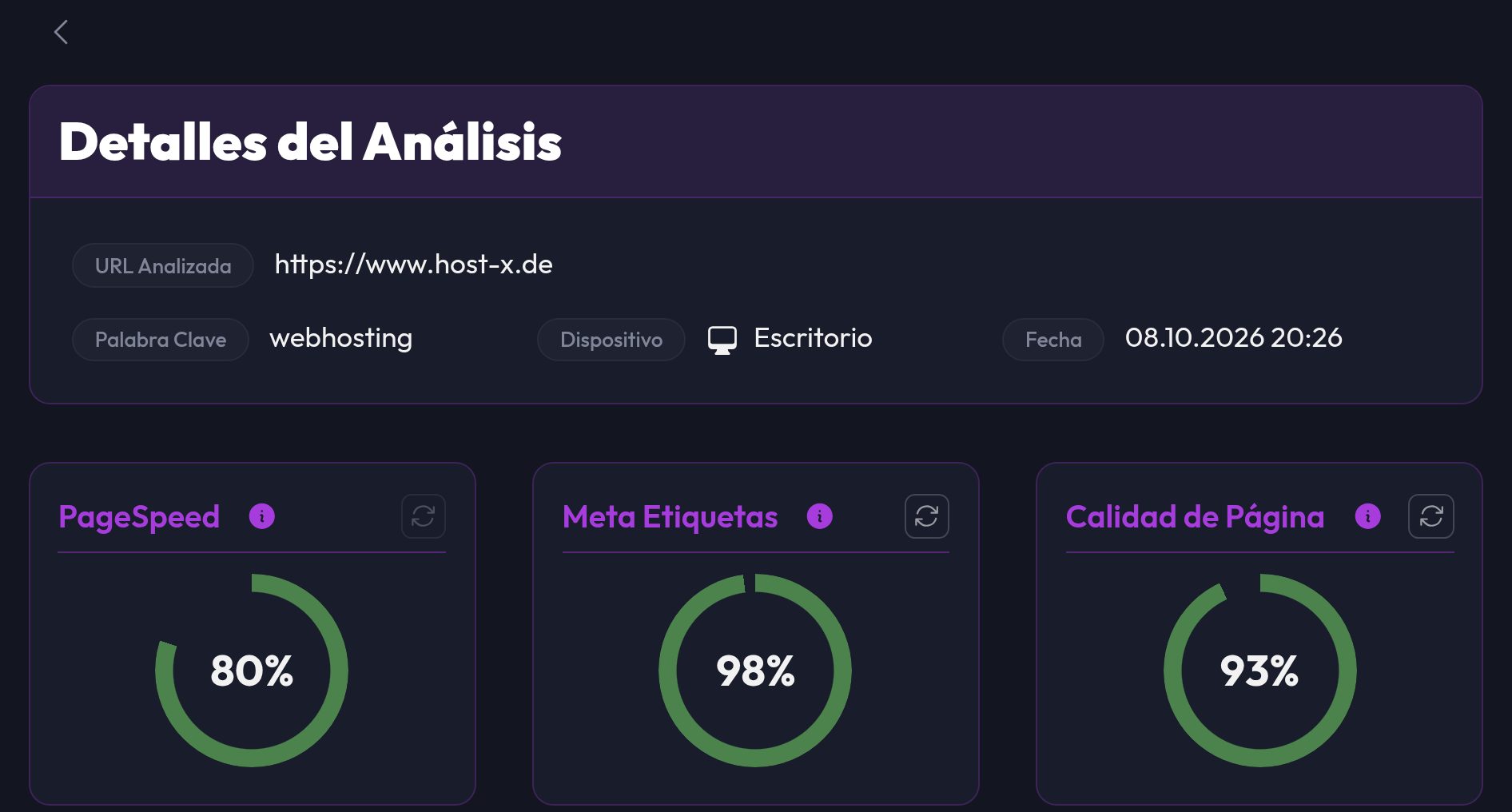 Los detalles del análisis con las puntuaciones PageSpeed, metadatos y calidad de página