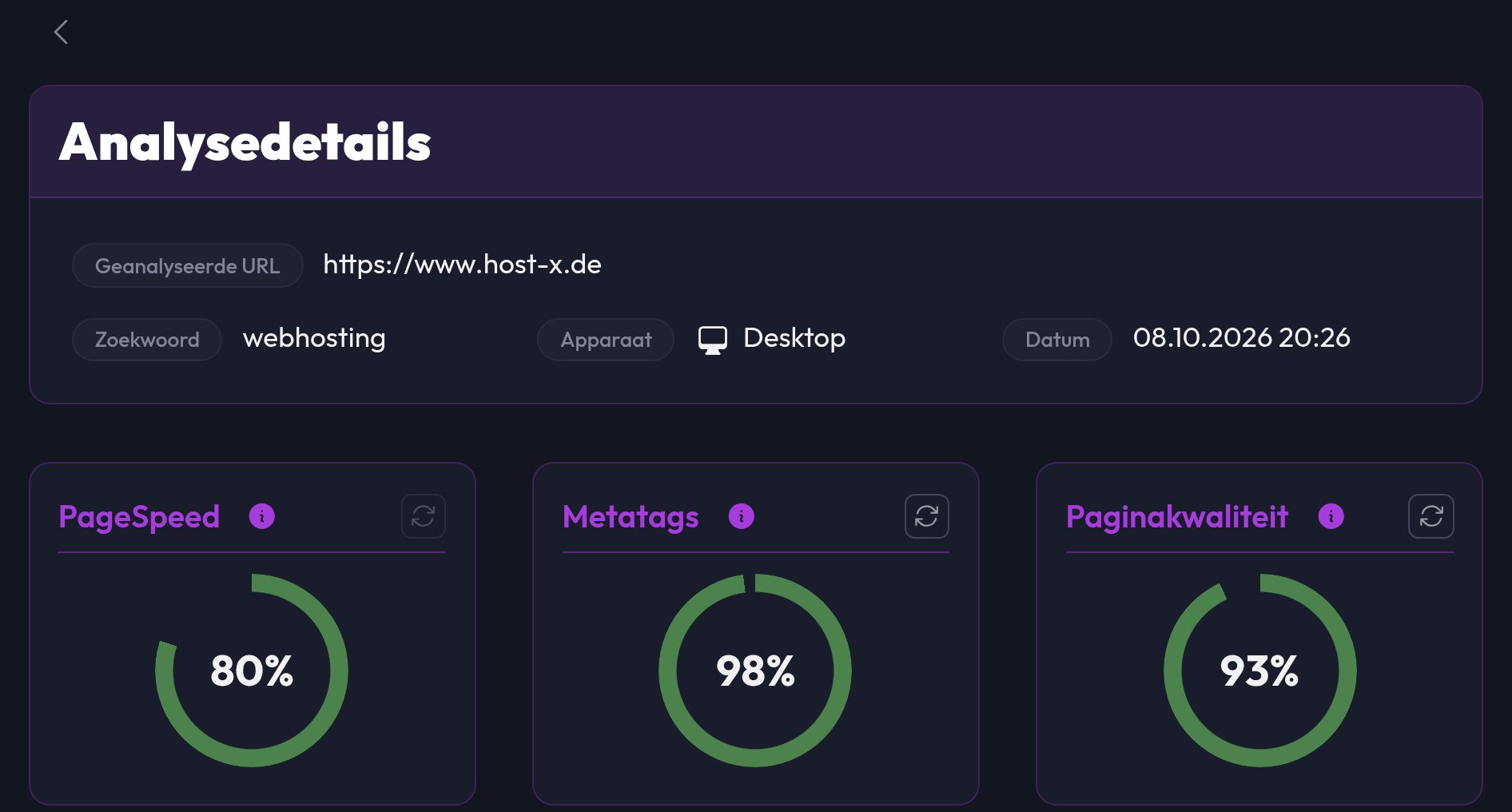 De analysedetails met de scores PageSpeed, metagegevens en paginakwaliteit