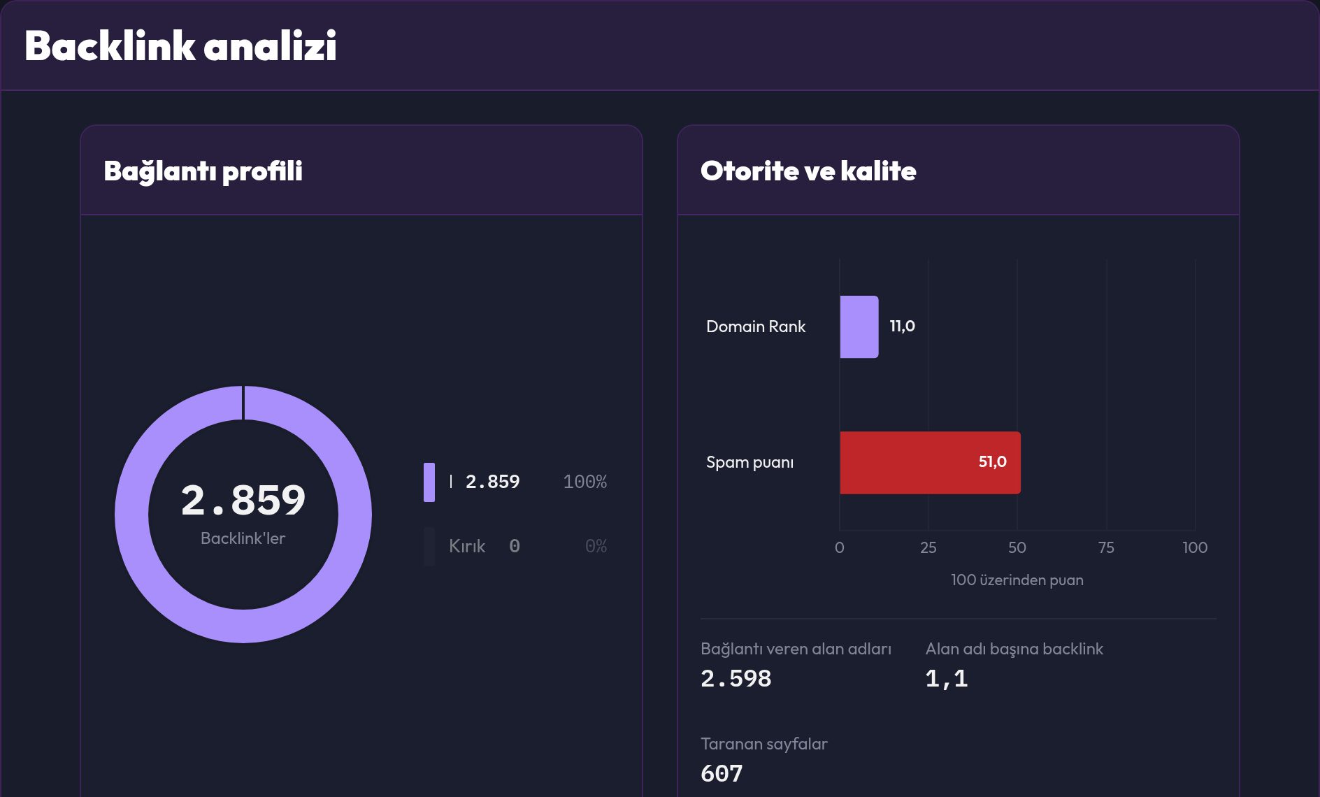 Bağlantı profili ile Otorite ve kalite kartlarının yer aldığı backlink analizi