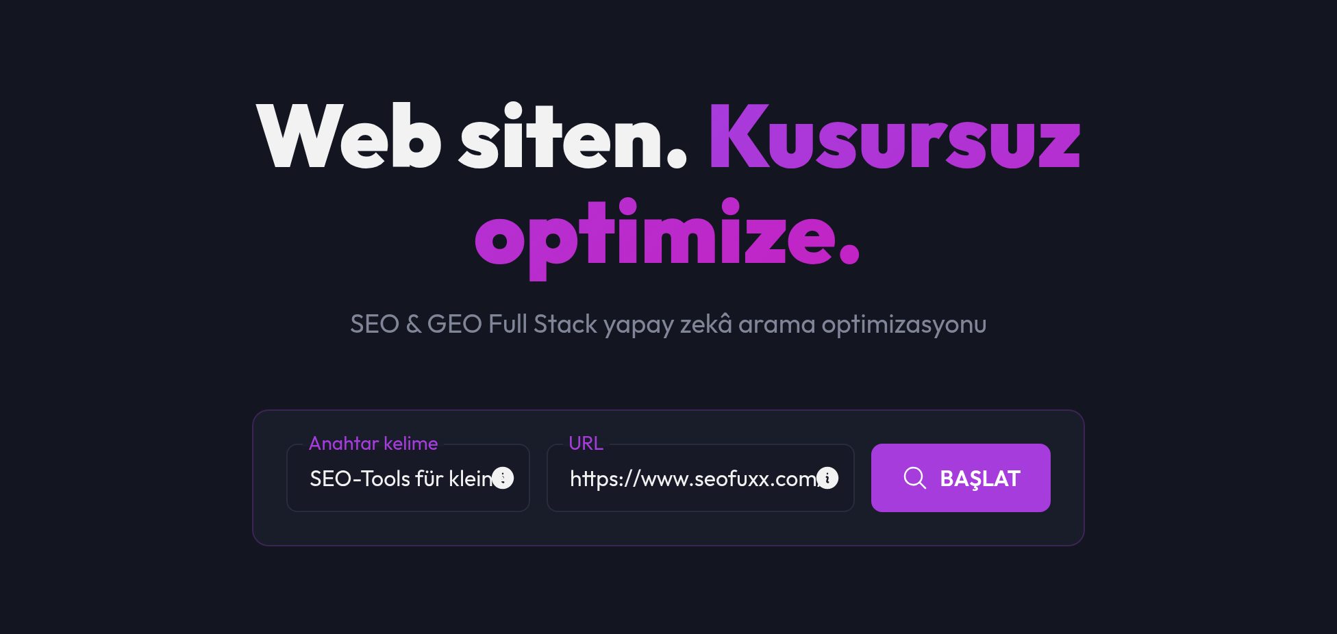 Anahtar kelime, URL ve BAŞLAT düğmesiyle Page Audit girişi